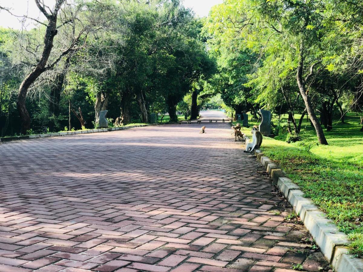 Kumari Guest House ポロンナルワ エクステリア 写真